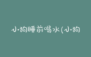 小狗睡前喝水(小狗不喝水是什么原因)-警犬训练器材厂家 _警犬训练用品_工作犬训练用品-南京开久警犬装备