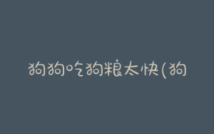 狗狗吃狗粮太快(狗不爱吃狗粮是什么原因导致的)-警犬训练器材厂家 _警犬训练用品_工作犬训练用品-南京开久警犬装备