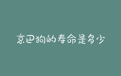 京巴狗的寿命是多少 京巴狗多少钱一只? - 警犬训练器材厂家 _警犬训练用品_工作犬训练用品-南京开久警犬装备-警犬训练器材厂家 _警犬训练用品_工作犬训练用品-南京开久警犬装备