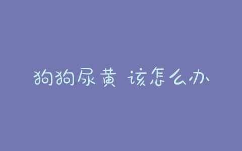 狗狗尿黄 该怎么办(狗狗有泪痕是什么原因,该怎么办) - 警犬训练器材厂家 _警犬训练用品_工作犬训练用品-南京开久警犬装备-警犬训练器材厂家 _警犬训练用品_工作犬训练用品-南京开久警犬装备