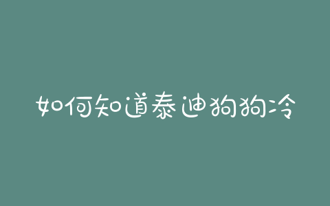 如何知道泰迪狗狗冷热？泰迪狗狗知道饱吗 - 警犬训练器材厂家 _警犬训练用品_工作犬训练用品-南京开久警犬装备-警犬训练器材厂家 _警犬训练用品_工作犬训练用品-南京开久警犬装备