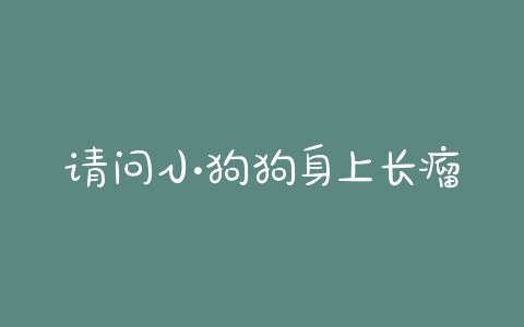 请问小狗狗身上长瘤子怎么治？ - 警犬训练器材厂家 _警犬训练用品_工作犬训练用品-南京开久警犬装备-警犬训练器材厂家 _警犬训练用品_工作犬训练用品-南京开久警犬装备