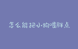怎么能把小狗喂胖点？怎么能让小狗晚上不叫-警犬训练器材厂家 _警犬训练用品_工作犬训练用品-南京开久警犬装备