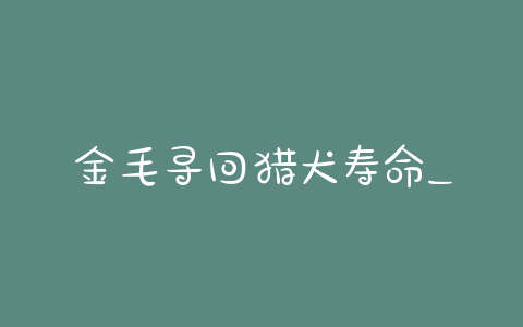 金毛寻回猎犬寿命_金毛为什么叫寻回猎犬 - 警犬训练器材厂家 _警犬训练用品_工作犬训练用品-南京开久警犬装备-警犬训练器材厂家 _警犬训练用品_工作犬训练用品-南京开久警犬装备