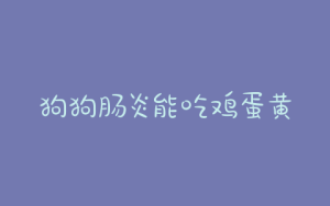 狗狗肠炎能吃鸡蛋黄吗？泰迪肠炎可以吃鸡蛋黄吗-警犬训练器材厂家 _警犬训练用品_工作犬训练用品-南京开久警犬装备