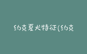 约克夏犬特征(约克夏犬好养吗)-警犬训练器材厂家 _警犬训练用品_工作犬训练用品-南京开久警犬装备