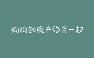 狗狗刨腹产绝育一起做(狗狗刨腹产绝育后一周突然下面流血)-警犬训练器材厂家 _警犬训练用品_工作犬训练用品-南京开久警犬装备