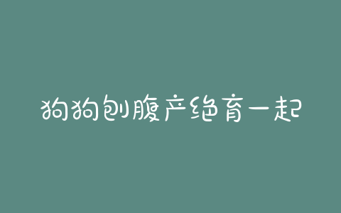 狗狗刨腹产绝育一起做(狗狗刨腹产绝育后一周突然下面流血) - 警犬训练器材厂家 _警犬训练用品_工作犬训练用品-南京开久警犬装备-警犬训练器材厂家 _警犬训练用品_工作犬训练用品-南京开久警犬装备