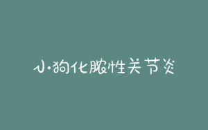 小狗化脓性关节炎-警犬训练器材厂家 _警犬训练用品_工作犬训练用品-南京开久警犬装备