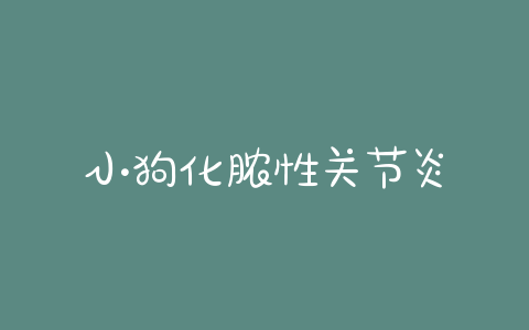 小狗化脓性关节炎 - 警犬训练器材厂家 _警犬训练用品_工作犬训练用品-南京开久警犬装备-警犬训练器材厂家 _警犬训练用品_工作犬训练用品-南京开久警犬装备