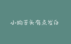 小狗舌头有点发白  小狗舌头有点白是什么原因-警犬训练器材厂家 _警犬训练用品_工作犬训练用品-南京开久警犬装备
