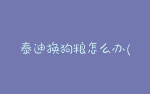 泰迪换狗粮怎么办(泰迪可以换狗粮吗)-警犬训练器材厂家 _警犬训练用品_工作犬训练用品-南京开久警犬装备