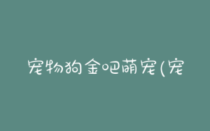 宠物狗金吧萌宠(宠物狗手机壁纸超萌)-警犬训练器材厂家 _警犬训练用品_工作犬训练用品-南京开久警犬装备