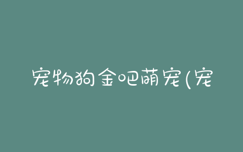 宠物狗金吧萌宠(宠物狗手机壁纸超萌) - 警犬训练器材厂家 _警犬训练用品_工作犬训练用品-南京开久警犬装备-警犬训练器材厂家 _警犬训练用品_工作犬训练用品-南京开久警犬装备