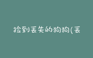 捡到丢失的狗狗(丢失狗狗信息怎么发表)-警犬训练器材厂家 _警犬训练用品_工作犬训练用品-南京开久警犬装备