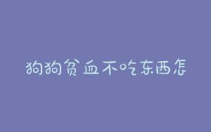 狗狗贫血不吃东西怎么办？狗狗严重贫血不吃东西-警犬训练器材厂家 _警犬训练用品_工作犬训练用品-南京开久警犬装备