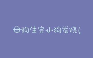 母狗生完小狗发烧(母狗生了小狗发烧)-警犬训练器材厂家 _警犬训练用品_工作犬训练用品-南京开久警犬装备