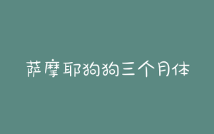 萨摩耶狗狗三个月体重(萨摩耶二个月到三个月体重是多少)-警犬训练器材厂家 _警犬训练用品_工作犬训练用品-南京开久警犬装备