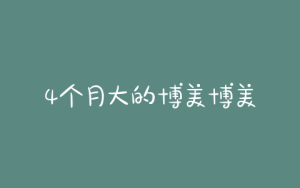 4个月大的博美博美狗狗每天吃几顿-警犬训练器材厂家 _警犬训练用品_工作犬训练用品-南京开久警犬装备