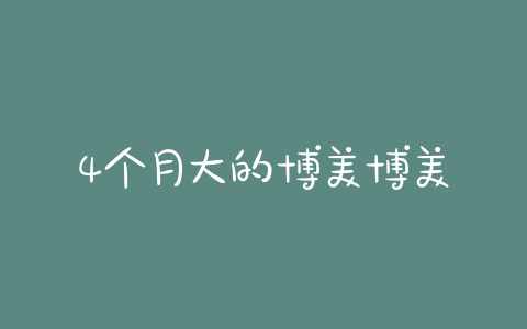 4个月大的博美博美狗狗每天吃几顿 - 警犬训练器材厂家 _警犬训练用品_工作犬训练用品-南京开久警犬装备-警犬训练器材厂家 _警犬训练用品_工作犬训练用品-南京开久警犬装备