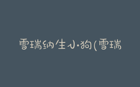 雪瑞纳生小狗(雪瑞纳小狗 *** ) - 警犬训练器材厂家 _警犬训练用品_工作犬训练用品-南京开久警犬装备-警犬训练器材厂家 _警犬训练用品_工作犬训练用品-南京开久警犬装备