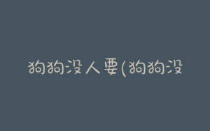 狗狗没人要(狗狗没人要 怎么处理)-警犬训练器材厂家 _警犬训练用品_工作犬训练用品-南京开久警犬装备