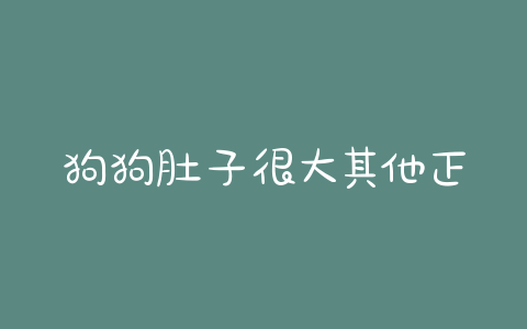 狗狗肚子很大其他正常(狗狗肚子胀很大,怎么办呢不吃饭) - 警犬训练器材厂家 _警犬训练用品_工作犬训练用品-南京开久警犬装备-警犬训练器材厂家 _警犬训练用品_工作犬训练用品-南京开久警犬装备