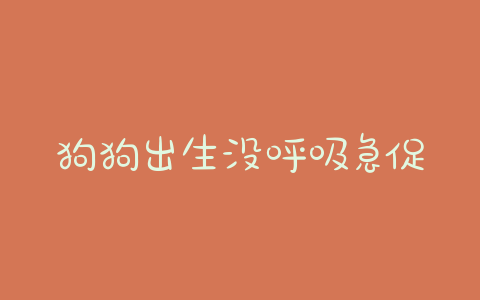 狗狗出生没呼吸急促,刚出生的狗狗呼吸急促是怎么回事 - 警犬训练器材厂家 _警犬训练用品_工作犬训练用品-南京开久警犬装备-警犬训练器材厂家 _警犬训练用品_工作犬训练用品-南京开久警犬装备