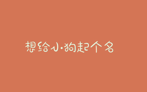 想给小狗起个名 小狗起什么名好听啊 - 警犬训练器材厂家 _警犬训练用品_工作犬训练用品-南京开久警犬装备-警犬训练器材厂家 _警犬训练用品_工作犬训练用品-南京开久警犬装备