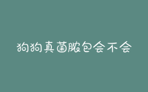 狗狗真菌脓包会不会传染人-警犬训练器材厂家 _警犬训练用品_工作犬训练用品-南京开久警犬装备