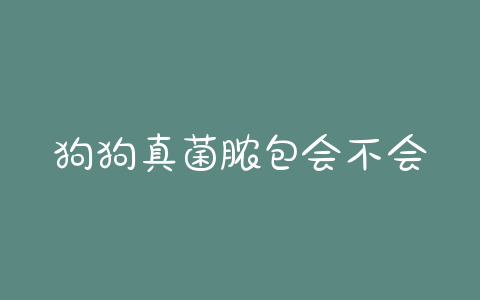 狗狗真菌脓包会不会传染人 - 警犬训练器材厂家 _警犬训练用品_工作犬训练用品-南京开久警犬装备-警犬训练器材厂家 _警犬训练用品_工作犬训练用品-南京开久警犬装备