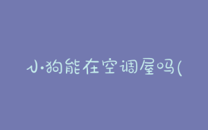 小狗能在空调屋吗(刚出生的小狗能在空调屋吗)-警犬训练器材厂家 _警犬训练用品_工作犬训练用品-南京开久警犬装备