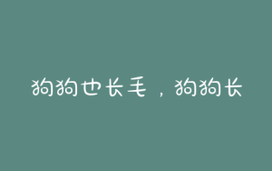 狗狗也长毛，狗狗长毛发吃什么-警犬训练器材厂家 _警犬训练用品_工作犬训练用品-南京开久警犬装备