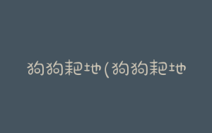 狗狗耙地(狗狗耙地板)-警犬训练器材厂家 _警犬训练用品_工作犬训练用品-南京开久警犬装备