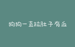 狗狗一直拉肚子有血怎么回事(狗狗突然一直拉肚子)-警犬训练器材厂家 _警犬训练用品_工作犬训练用品-南京开久警犬装备