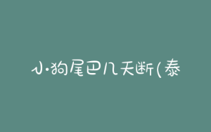 小狗尾巴几天断(泰迪小狗出生几天断尾巴)-警犬训练器材厂家 _警犬训练用品_工作犬训练用品-南京开久警犬装备
