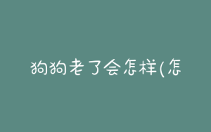 狗狗老了会怎样(怎样给狗狗打针)-警犬训练器材厂家 _警犬训练用品_工作犬训练用品-南京开久警犬装备