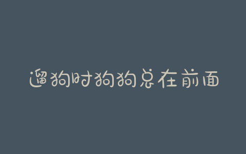 遛狗时狗狗总在前面冲(遛狗可以让狗狗走前面吗) - 警犬训练器材厂家 _警犬训练用品_工作犬训练用品-南京开久警犬装备-警犬训练器材厂家 _警犬训练用品_工作犬训练用品-南京开久警犬装备