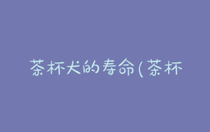 茶杯犬的寿命(茶杯犬寿命多长时间)-警犬训练器材厂家 _警犬训练用品_工作犬训练用品-南京开久警犬装备