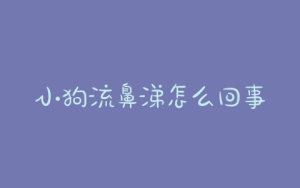 小狗流鼻涕怎么回事儿？小狗一直打喷嚏流鼻涕是怎么回事-警犬训练器材厂家 _警犬训练用品_工作犬训练用品-南京开久警犬装备