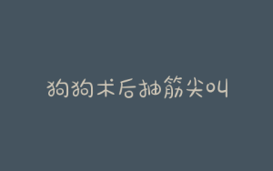狗狗术后抽筋尖叫-警犬训练器材厂家 _警犬训练用品_工作犬训练用品-南京开久警犬装备