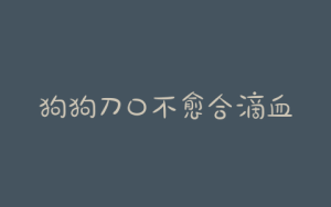 狗狗刀口不愈合滴血水-警犬训练器材厂家 _警犬训练用品_工作犬训练用品-南京开久警犬装备