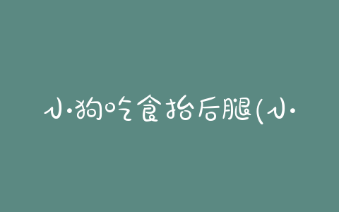 小狗吃食抬后腿(小狗跑的时候后腿抬起来) - 警犬训练器材厂家 _警犬训练用品_工作犬训练用品-南京开久警犬装备-警犬训练器材厂家 _警犬训练用品_工作犬训练用品-南京开久警犬装备