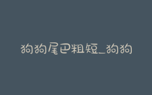 狗狗尾巴粗短_狗狗尾巴短好不好-警犬训练器材厂家 _警犬训练用品_工作犬训练用品-南京开久警犬装备