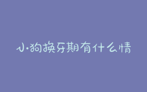 小狗换牙期有什么情况?小狗什么时间换牙-警犬训练器材厂家 _警犬训练用品_工作犬训练用品-南京开久警犬装备
