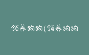 领养狗狗(领养狗狗的文案)-警犬训练器材厂家 _警犬训练用品_工作犬训练用品-南京开久警犬装备