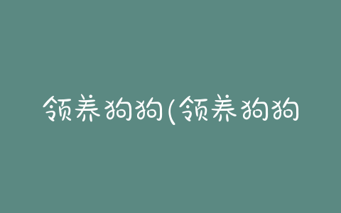 领养狗狗(领养狗狗的文案) - 警犬训练器材厂家 _警犬训练用品_工作犬训练用品-南京开久警犬装备-警犬训练器材厂家 _警犬训练用品_工作犬训练用品-南京开久警犬装备