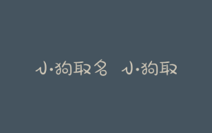 小狗取名  小狗取名字洋气点的-警犬训练器材厂家 _警犬训练用品_工作犬训练用品-南京开久警犬装备