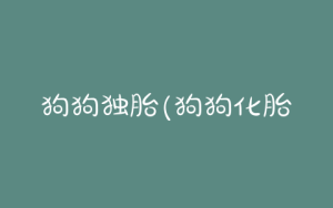 狗狗独胎(狗狗化胎的原因有哪些)-警犬训练器材厂家 _警犬训练用品_工作犬训练用品-南京开久警犬装备