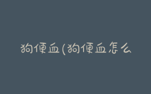 狗便血(狗便血怎么治疗?)-警犬训练器材厂家 _警犬训练用品_工作犬训练用品-南京开久警犬装备